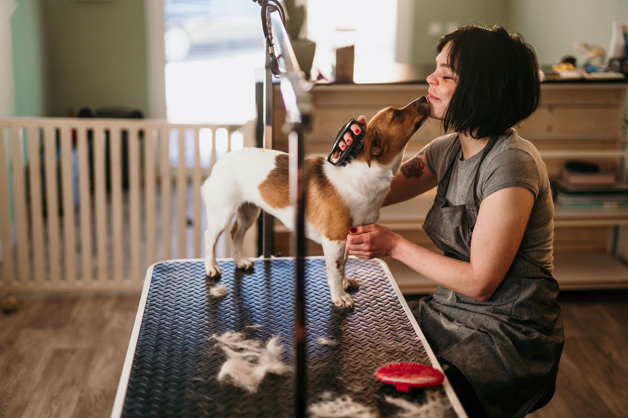 A pet care professional working with dogs