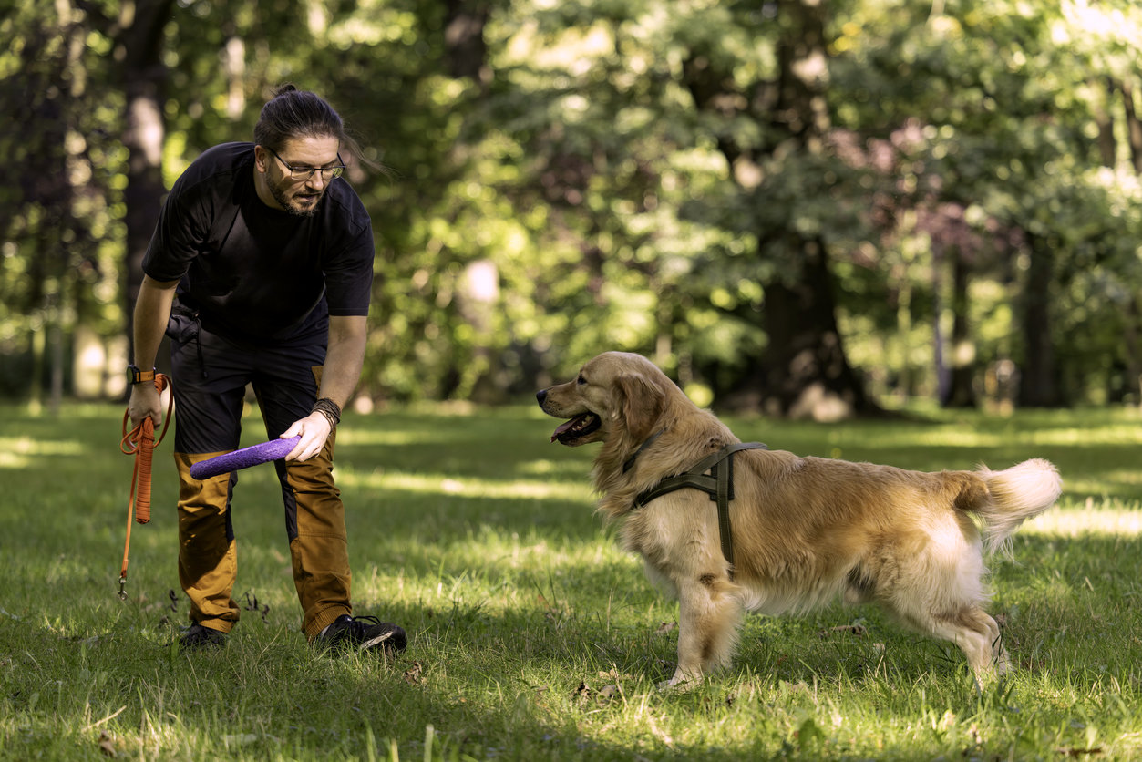 A provider training a dog in a park